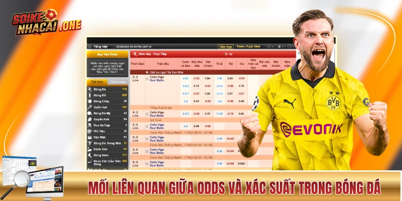 Tỷ Lệ Kèo Nhà Cái - Những Con Số Nói Lên Rất Nhiều Điều! Mối liên quan giữa odds và xác suất trong bóng đá
