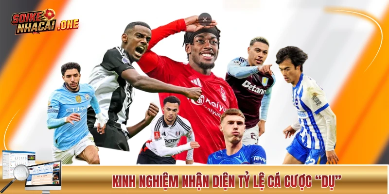 Kinh nghiệm nhận diện tỷ lệ cá cược “dụ”