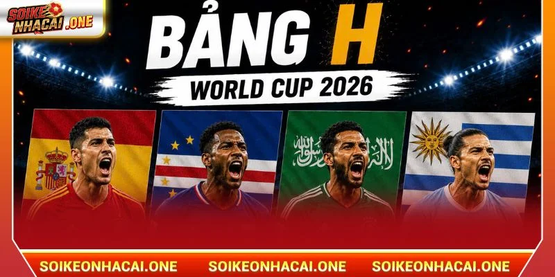 Đội Tuyển Tây Ban Nha: Bản Lĩnh Nhà Vô Địch EURO CUP Bảng H chắc chắn là bảng đấu không dễ dàng với đội tuyển Tây Ban Nha.