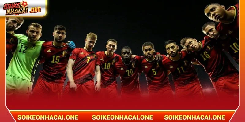 Đội Tuyển Bỉ: Khát Vọng Viết Chương “Vàng” World Cup 2026 Bỉ là đội bóng châu Âu giàu truyền thống.