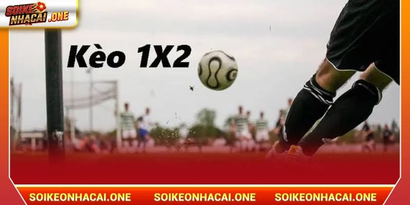 Các Loại Kèo Trong Bóng Đá Chỉ Có Tại Soi Kèo Nhà Cái 2026 Cá cược với kèo châu Âu rất dễ hiểu, dễ chơi.