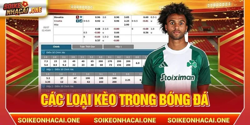 Các Loại Kèo Trong Bóng Đá Chỉ Có Tại Soi Kèo Nhà Cái 2026 Các Loại Kèo Trong Bóng Đá Chỉ Có Tại Soi Kèo Nhà Cái 2026