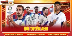 Đội Tuyển Anh: Hành Trình Tìm Lại Ánh Hào Quang Của Tam Sư