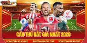 Cầu Thủ Đắt Giá Nhất 2026 Gọi Tên Danh Thủ Nào? 