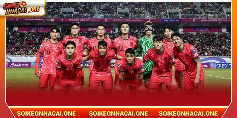 Đội tuyển Hàn Quốc: Ngọn Cờ Đầu Của Bóng Đá Đông Á Đội tuyển Hàn Quốc được mệnh danh là mãnh hổ Đông Á.