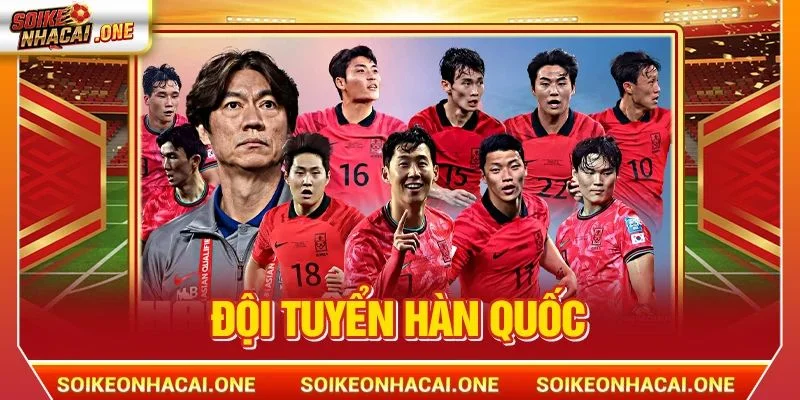 Đội tuyển Hàn Quốc: Ngọn Cờ Đầu Của Bóng Đá Đông Á Đội tuyển Hàn Quốc: Ngọn Cờ Đầu Của Bóng Đá Đông Á