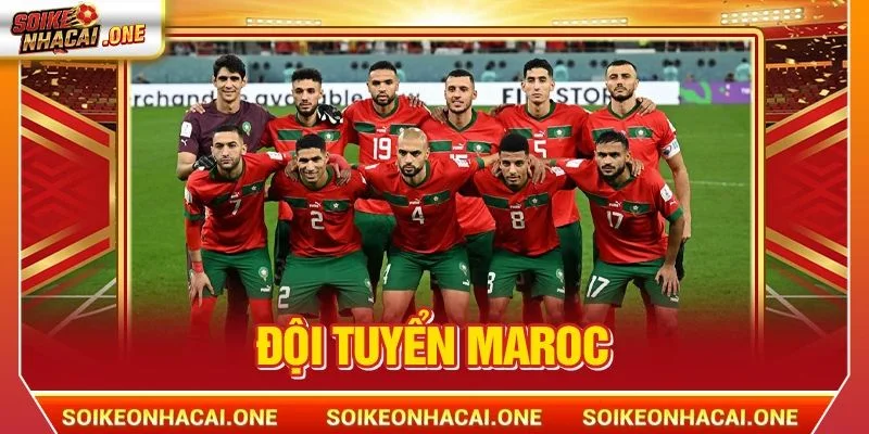 Đội Tuyển Maroc: Atlas Lions - Niềm Tự Hào Của Châu Phi Đội Tuyển Maroc: Atlas Lions - Niềm Tự Hào Của Châu Phi