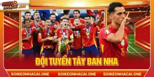 Đội Tuyển Tây Ban Nha: Bản Lĩnh Nhà Vô Địch EURO CUP