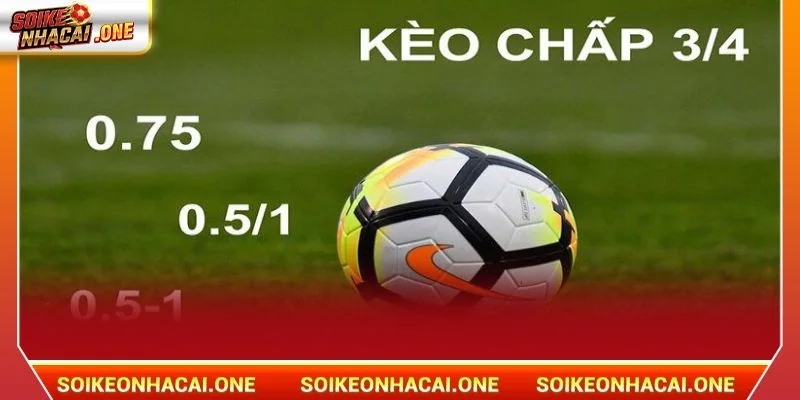 Các Loại Kèo Trong Bóng Đá Chỉ Có Tại Soi Kèo Nhà Cái 2026 Kèo châu Á liên tục được setup tại sảnh chơi của Soi Kèo Nhà Cái