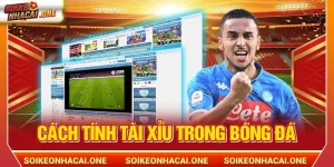 Cách Tính Tài Xỉu Trong Bóng Đá Tiêu Chuẩn Như Thế Nào?